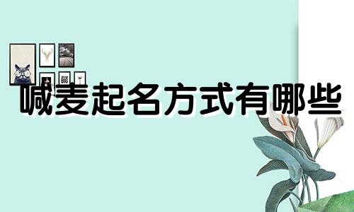 喊麦起名方式有哪些