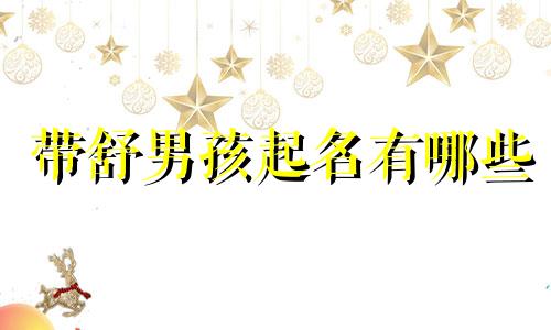 带舒男孩起名有哪些
