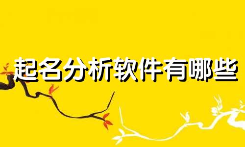 起名分析软件有哪些