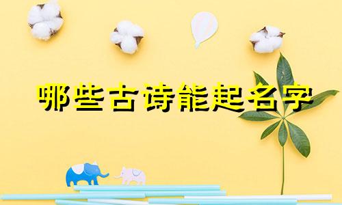 哪些古诗能起名字