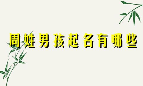 周姓男孩起名有哪些