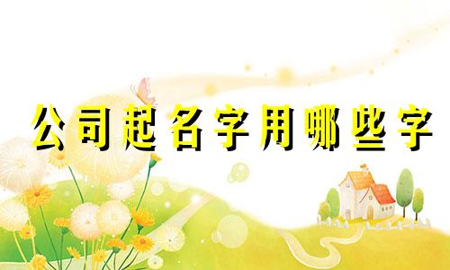 公司起名字用哪些字