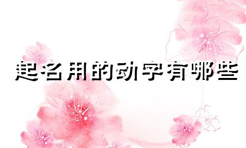 起名用的动字有哪些