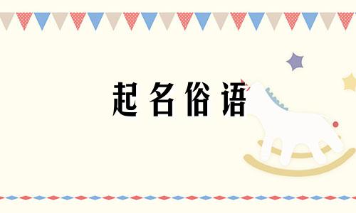 起名俗语 有哪些字体好看