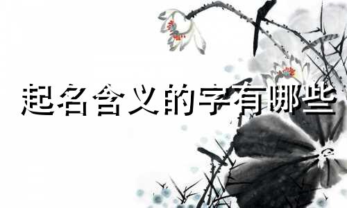 起名含义的字有哪些