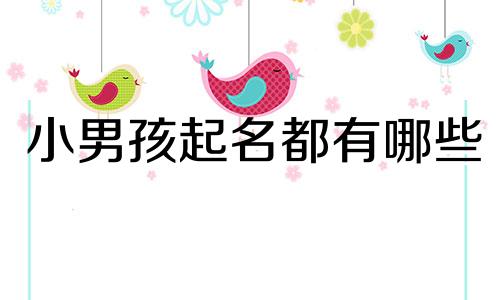 小男孩起名都有哪些