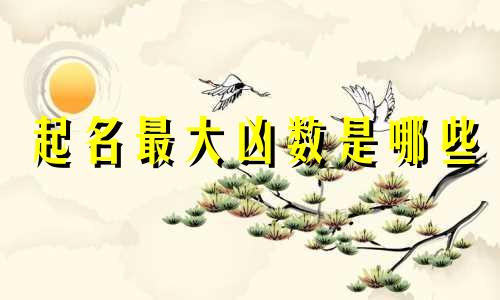 起名最大凶数是哪些