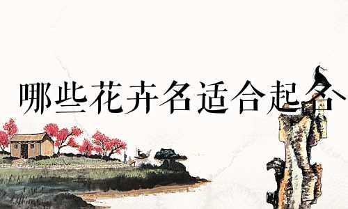 哪些花卉名适合起名