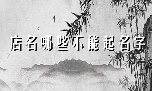 店名哪些不能起名字