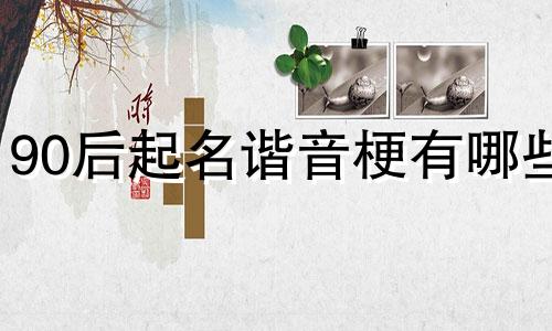 90后起名谐音梗有哪些