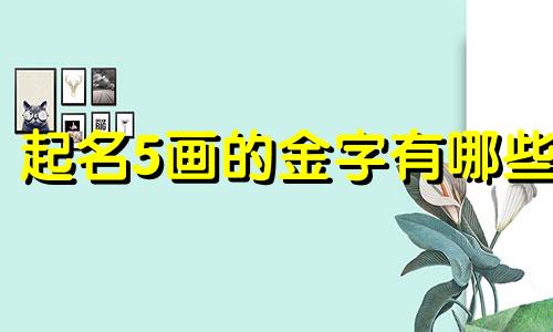 起名5画的金字有哪些