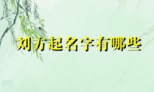 刘方起名字有哪些