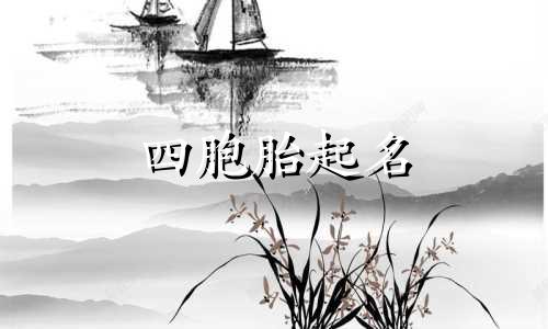 四胞胎起名 成语有哪些