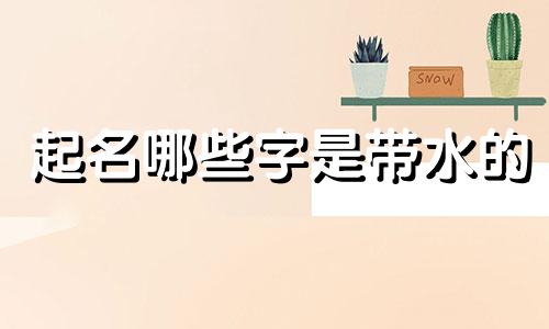 起名哪些字是带水的