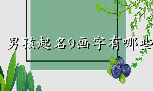 男孩起名9画字有哪些