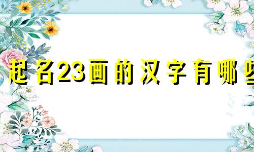 起名23画的汉字有哪些