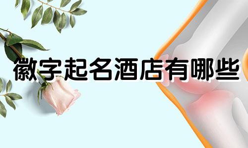 徽字起名酒店有哪些