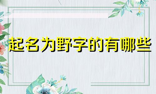起名为野字的有哪些