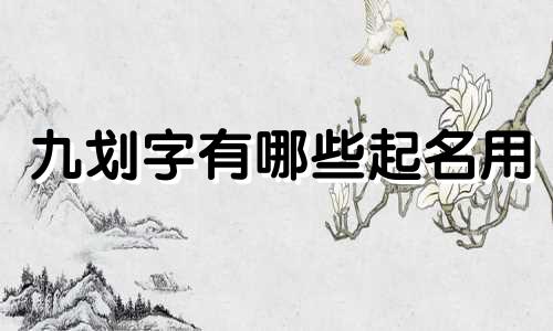 九划字有哪些起名用