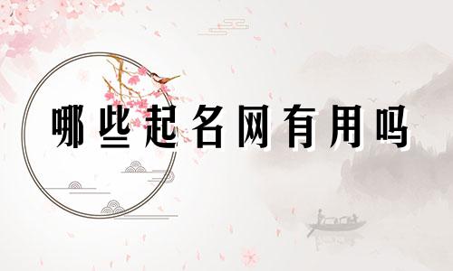哪些起名网有用吗