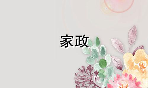 家政 公司起名字有哪些