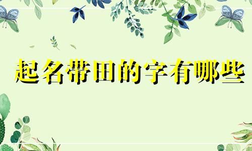 起名带田的字有哪些