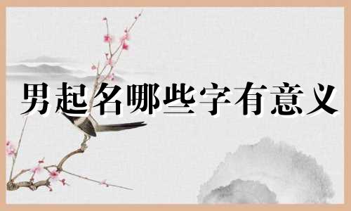 男起名哪些字有意义