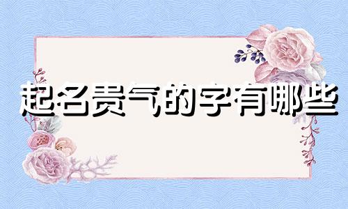 起名贵气的字有哪些