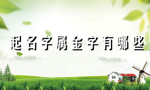 起名字属金字有哪些