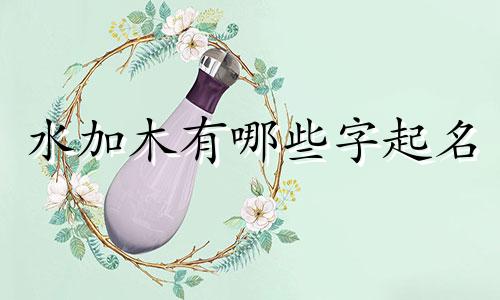 水加木有哪些字起名