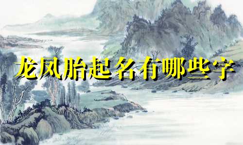 龙凤胎起名有哪些字
