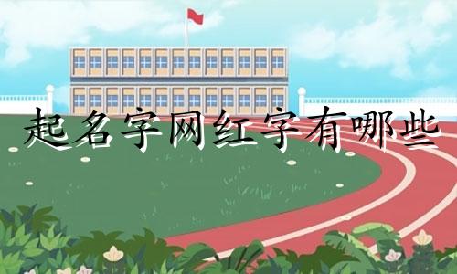 起名字网红字有哪些