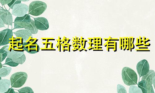 起名五格数理有哪些