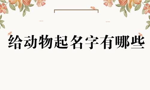 给动物起名字有哪些