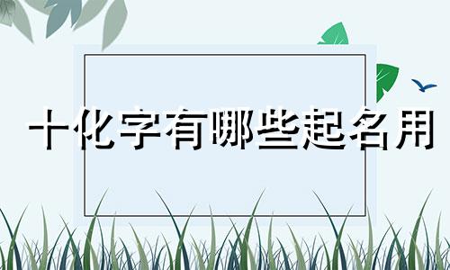 十化字有哪些起名用