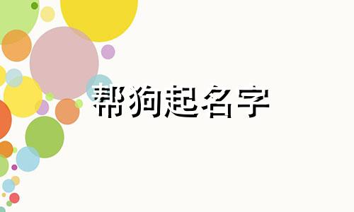 帮狗起名字 有哪些