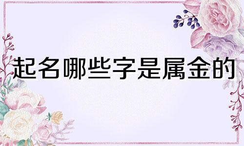 起名哪些字是属金的