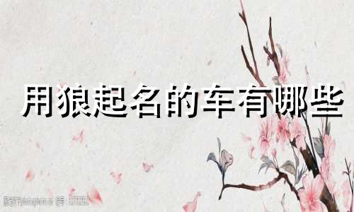 用狼起名的车有哪些