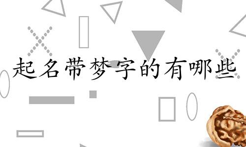 起名带梦字的有哪些