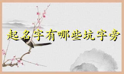 起名字有哪些坑字旁