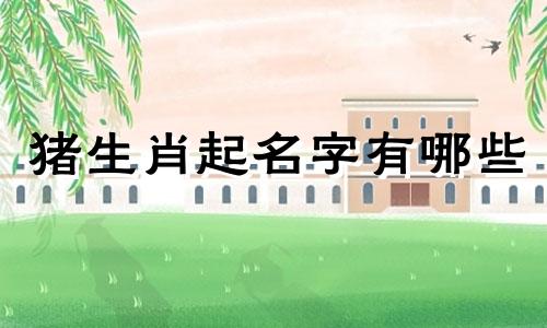 猪生肖起名字有哪些