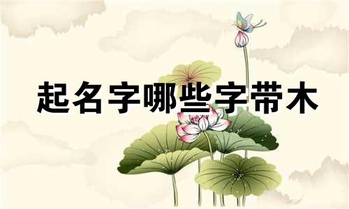 起名字哪些字带木