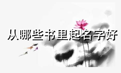 从哪些书里起名字好
