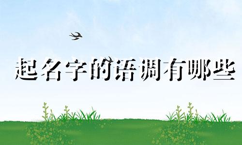 起名字的语调有哪些