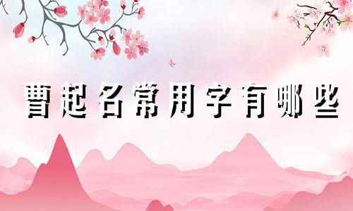 曹起名常用字有哪些