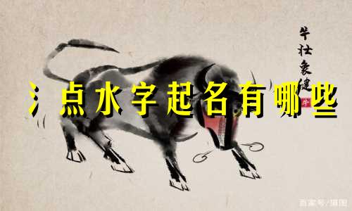 氵点水字起名有哪些
