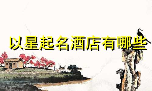 以星起名酒店有哪些