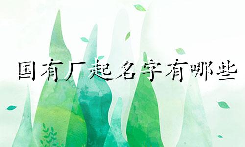 国有厂起名字有哪些