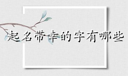 起名带幸的字有哪些