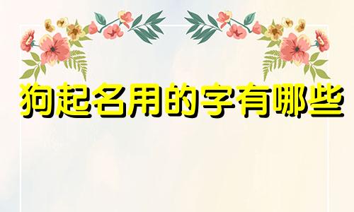 狗起名用的字有哪些